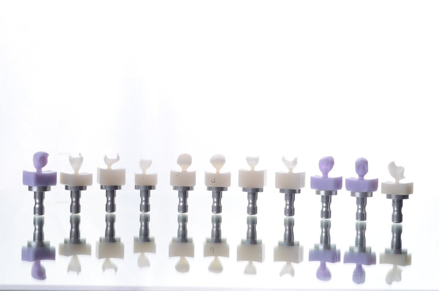 Meisinger Polishing kit by CEREC Depot