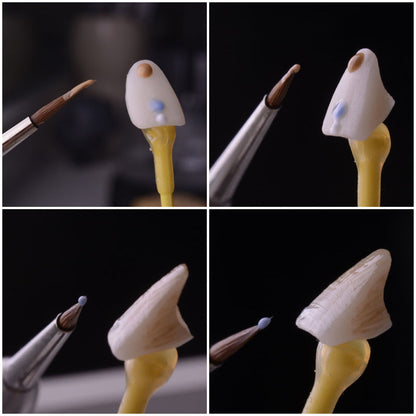 CEREC Stain & Glaze Kit
